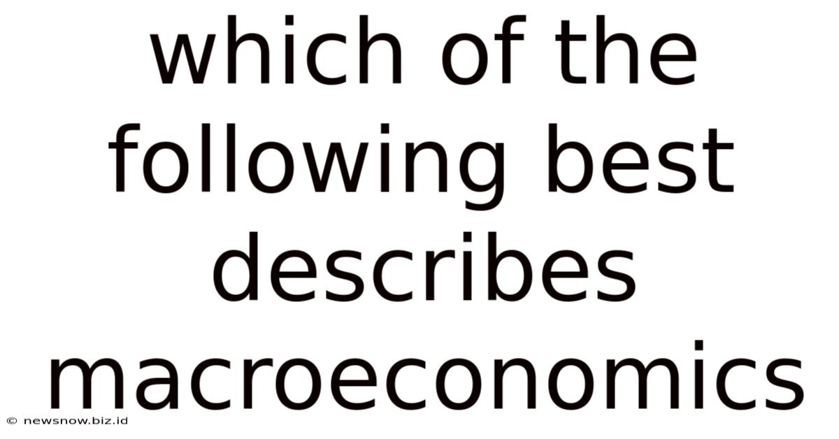 Which Of The Following Best Describes Macroeconomics