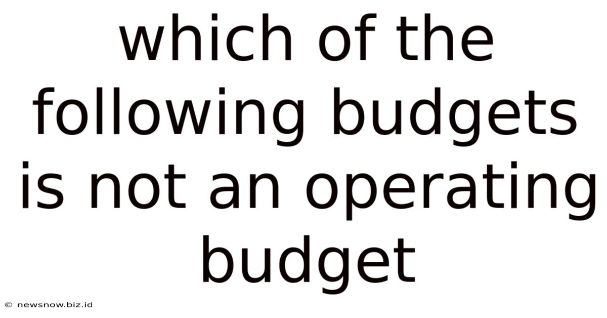 Which Of The Following Budgets Is Not An Operating Budget