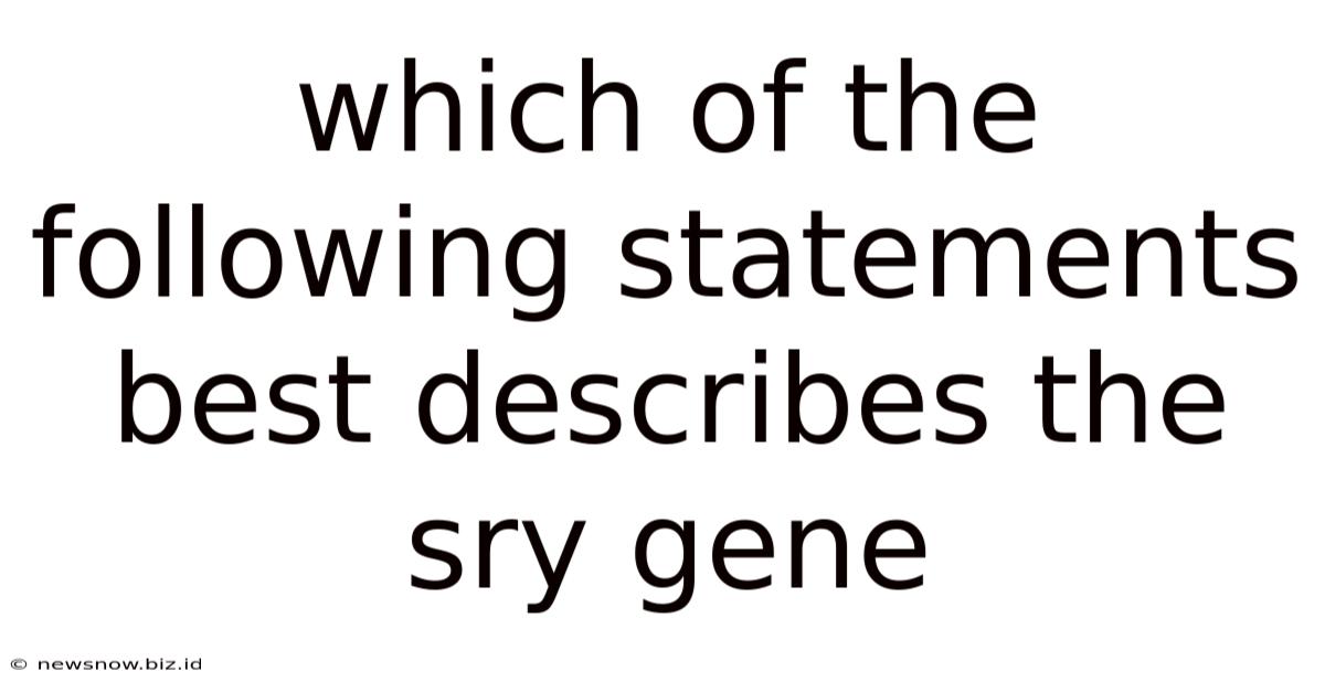 Which Of The Following Statements Best Describes The Sry Gene
