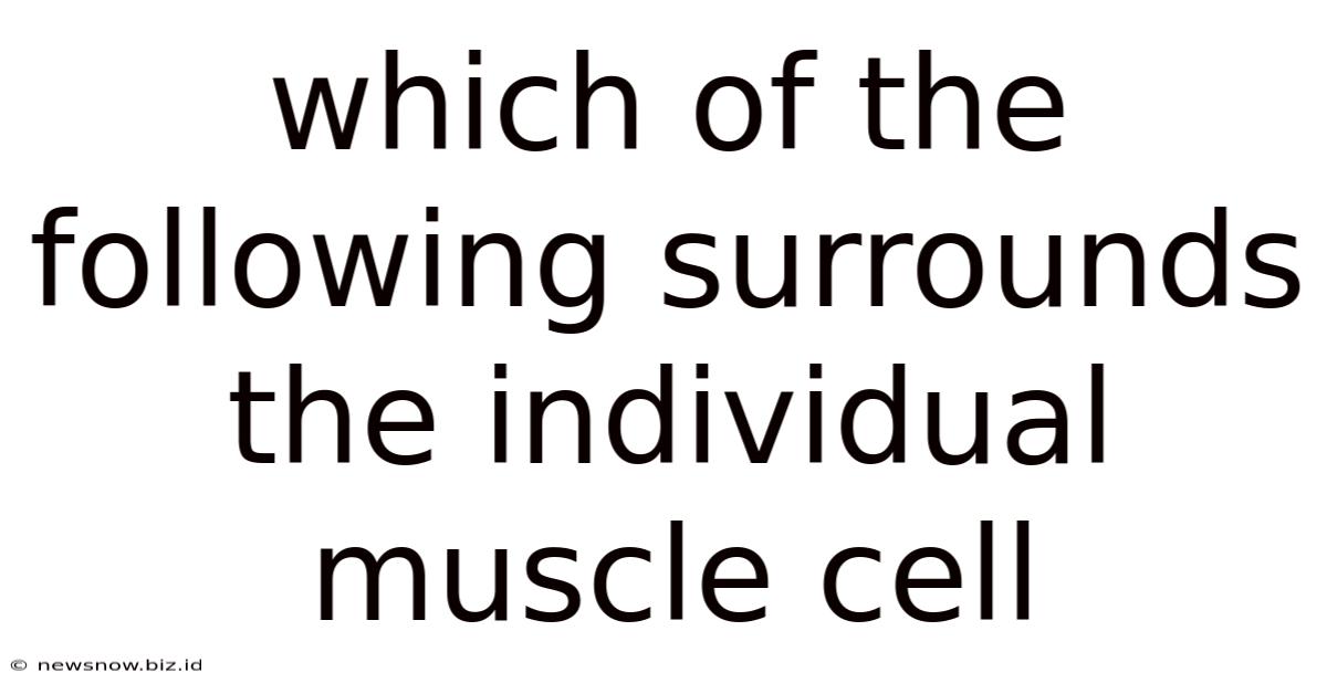 Which Of The Following Surrounds The Individual Muscle Cell
