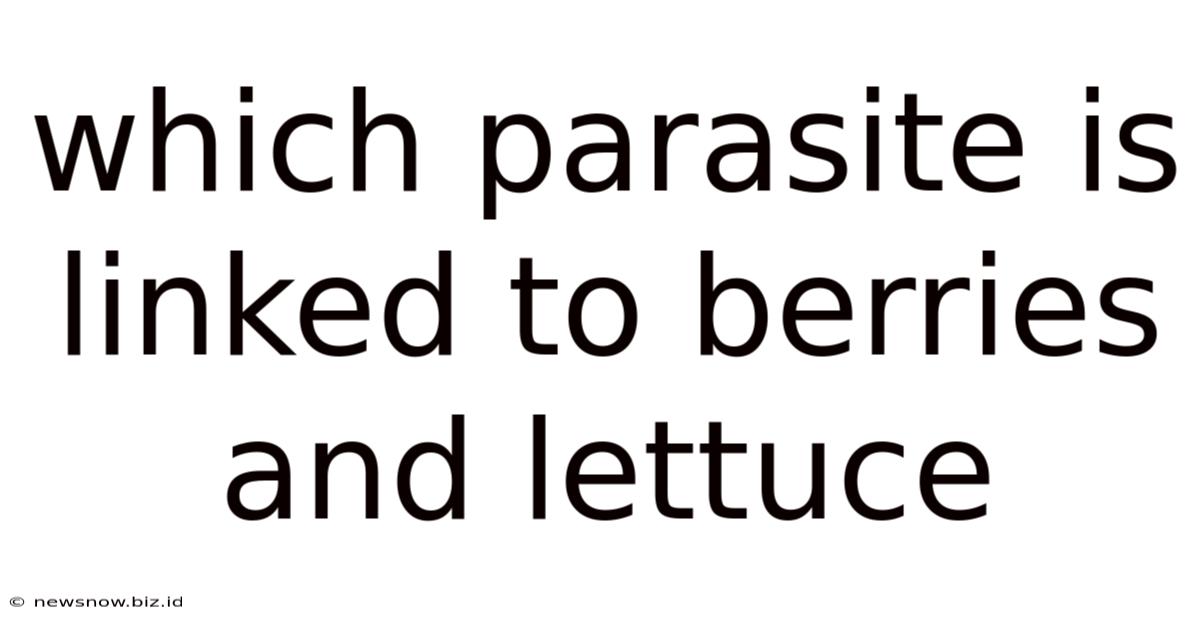 Which Parasite Is Linked To Berries And Lettuce