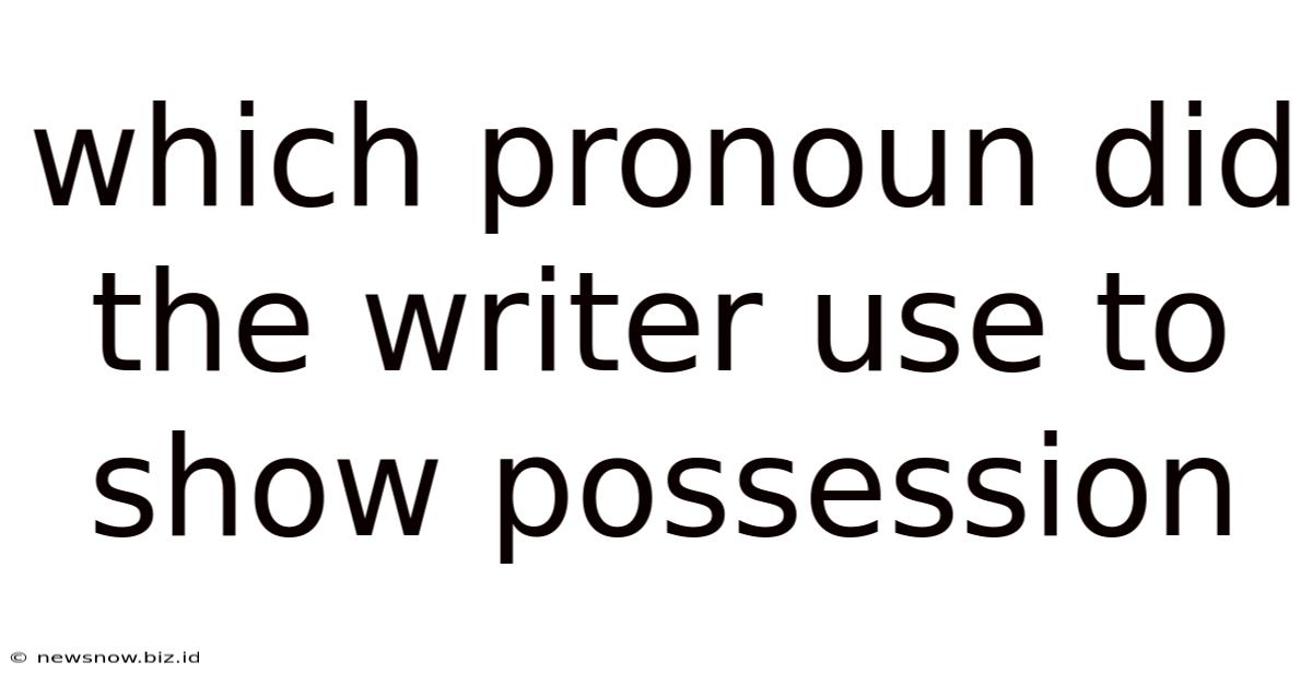 Which Pronoun Did The Writer Use To Show Possession