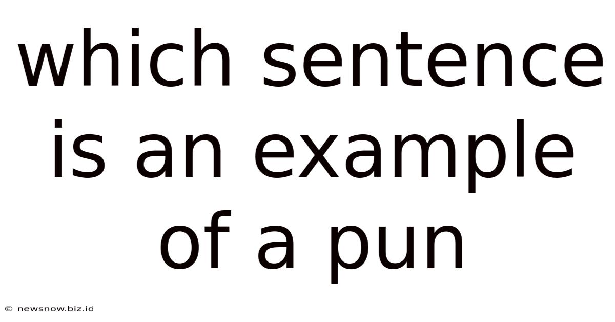 Which Sentence Is An Example Of A Pun