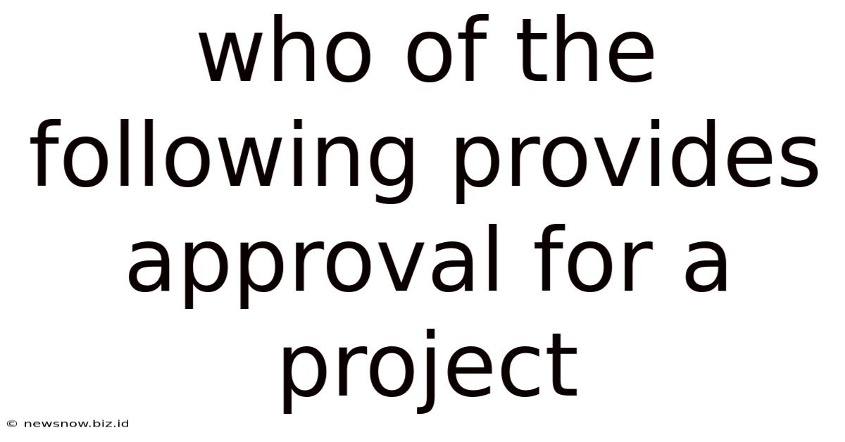 Who Of The Following Provides Approval For A Project