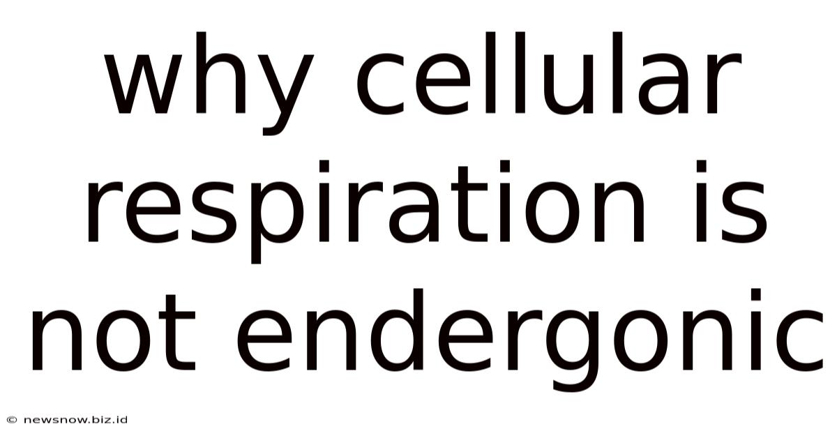 Why Cellular Respiration Is Not Endergonic